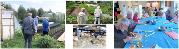 Dagbesteding Eemlandhoeve - activiteiten